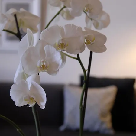 D'hotes Temps De Pause Lautrec